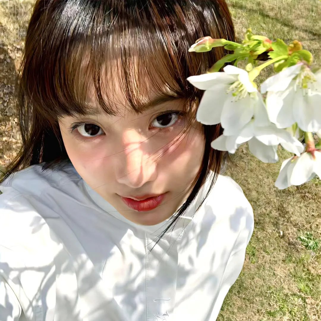 新罗曼蒂克